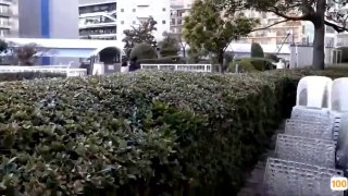 我的办公室小秘书2 私の着替え见て兴奋するの? 女を...